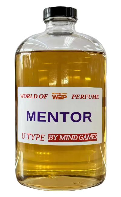 MENTOR U TYPE ( INSPIRED BY MIND GAMES)