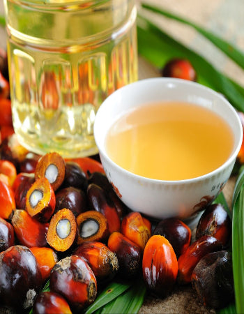 BATANA HAIR GROWTH OIL